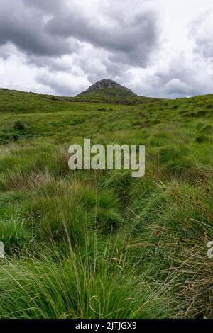 Vue verticale sur la montagne Diamond Hill dans le parc national du Connemara, dans le comté de Galway en Irlande Banque D'Images