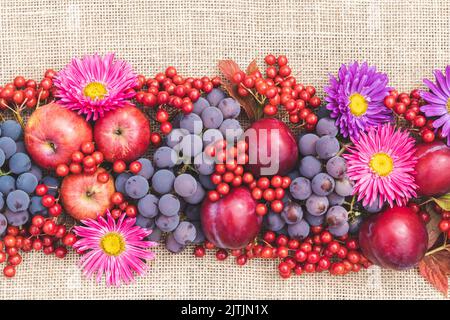 Fruits rouges mûrs et baies disposés sur une table avec un chiffon de toile à ébavurer. Vie fixe, plat, vue de dessus. Magnifique fond d'automne festif, le jour de Thanksgiving Banque D'Images