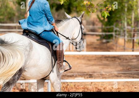 Courte vue latérale d'une jeune fille méconnaissable à cheval blanc en écurie en été Banque D'Images