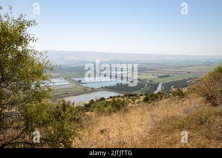 Champs agricoles dans la vallée de Hula, au nord d'israël Banque D'Images