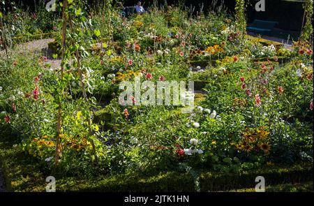 Belles fleurs d'été dans le jardin de l'Hôtel de sens, un jardin formel avec villa de style gothique avec des gables et des tourelles, Paris, France Banque D'Images