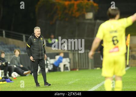 31st août 2022 ; Campbelltown Sports Stadium, Leumeah, Nouvelle-Galles du Sud, Australie ; Australia A League Cup, quart de finale, MacArthur FC contre Wellington Phoenix: L'entraîneur de Wellington Phoenix Ufuk Talay crie des instructions à ses joueurs Banque D'Images