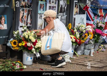 Londres, Royaume-Uni. 31st août 2022. Les fans et les visiteurs royaux se rassemblent aux portes du Palais de Kensington pour commémorer le 25th anniversaire de la mort tragique de Diana Princess of Wales. Credit: Imagetraceur/Alamy Live News Banque D'Images