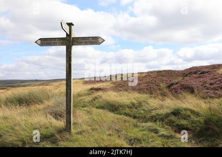 Marchez de Stanbury sur les Yorkshire Dales, en passant par la Bronte Way jusqu'à Top Withins Farm, le cadre qui a inspiré les « Wuthering Heights » d'Emily Bronte. Banque D'Images