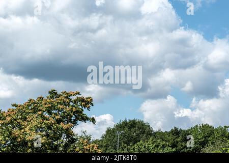 Dorking, Surrey Hills, Londres, Royaume-Uni, 26 août 2022, Campagne rurale scène avec arbres et ciel nuageux d'été Banque D'Images