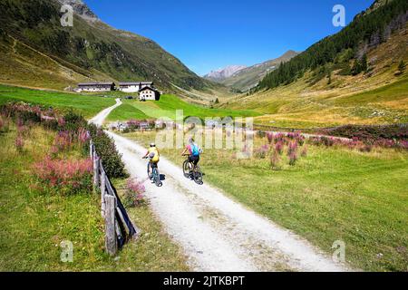 Cyclistes sur une route de gravier menant à la colonie alpine de Seebachalm, dans la vallée de defereggen, dans le parc national hohe tauern, Tyrol oriental, autriche Banque D'Images