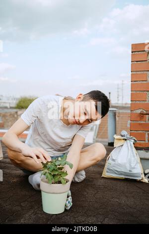 Jeune homme examinant une plante en pot tout en étant assis sur le toit Banque D'Images