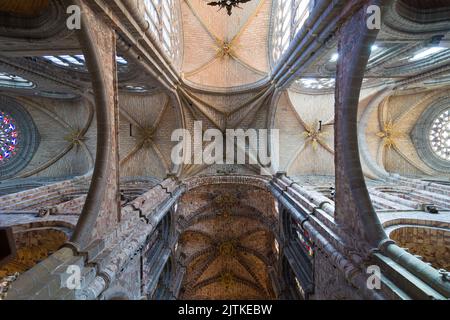 Plafond de la cathédrale d'Avila, Espagne. Banque D'Images