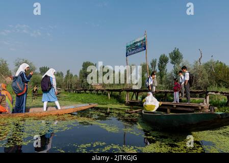 31 août 2022, Srinagar, Jammu-et-Cachemire, Inde: Les écoliers sont vus sur le bateau alors qu'ils sont sur le chemin de l'école un matin ensoleillé dans les intérieurs du lac Dal. (Image de crédit : © Idrees Abbas/SOPA Images via ZUMA Press Wire) Banque D'Images