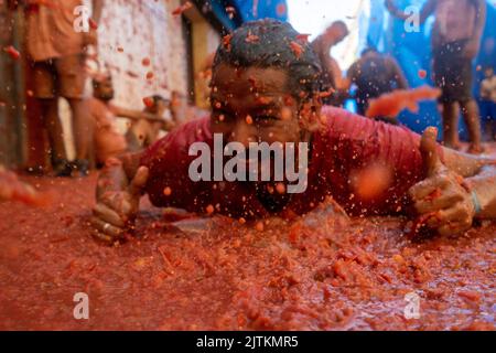 Buñol, Valence, Espagne, 31 août 2022, le 75th anniversaire de la tomatina est célébré, la guerre de tomate la plus paisible au monde dans les rues. plus de 15 000 personnes jettent 130 000kg tomates mûres distribuées en 6 camions. @Salva Garrigues / Alamy Live News Banque D'Images