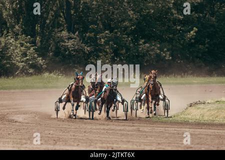 Trotters en traîneaux. Courses hippiques sur l'hippodrome. Animaux gracieux. Course de chevaux. Sports équestres. Paris sportifs. Banque D'Images