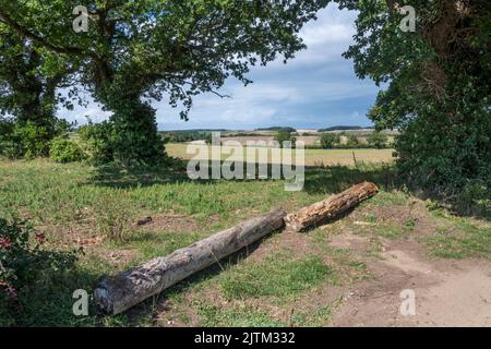 Des bûches bloquant une entrée dans le champ de Norfolk afin d'éviter toute utilisation non désirée par les véhicules tout-terrain et les joy riders. Banque D'Images