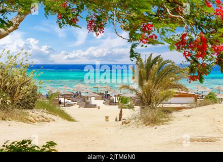 Paysage avec plage incroyable et mer Rouge, Egypte Banque D'Images