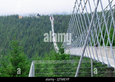 Pont suspendu jetées de fer de Sky Bridge 721, Dolni Morava, République Tchèque, gros plan. Banque D'Images