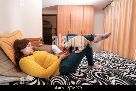 Belle jeune femme hispanique souriante vêtue d'une veste jaune, couchée sur son lit en jouant avec son petit chaton avec une balle rouge de fil Banque D'Images