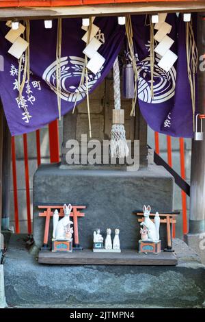 Un sanctuaire d'esprit ou shintai, gardé par le Dieu renard Inari au sanctuaire Mimeguri-jinja, dans la ville de Sumida, Tokyo, Japon. Le sanctuaire de style zukuri de gongen est étroitement lié au clan Mitsui, fondateur du grand magasin Mitsukoshi. Banque D'Images