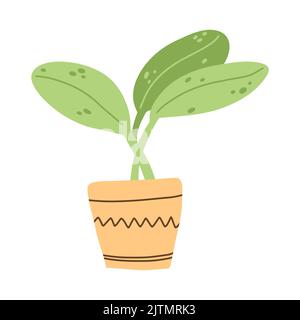Plante maison en céramique pot en dessin animé à la main de style plat. Illustration vectorielle d'herbe d'intérieur. Illustration de Vecteur