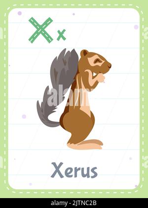 Flashcard imprimable à l'alphabet avec lettre X. Cartoon mignon xerus animal et mot anglais sur flash card pour l'éducation des enfants. Carte mémoire scolaire pour enfants de maternelle illustration vectorielle plate. Illustration de Vecteur