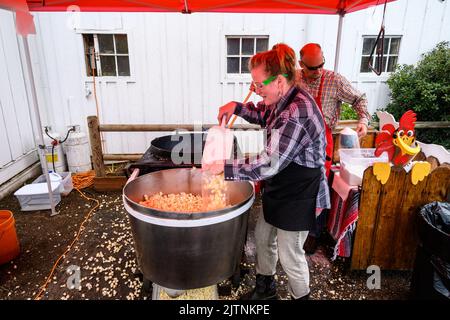 BELLEVUE, WASHINGTON, États-Unis – 30 AVRIL 2022 : événement patrimonial du parc agricole de Kelsey Creek, femme ensachant du maïs de la bouilloire à l'extérieur sous un auvent rouge Banque D'Images