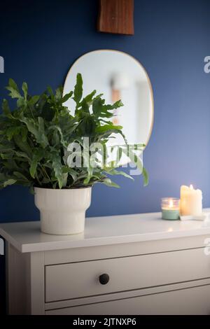 Une plante de la fougère Blue Star (Phlebodium aureum), une maison de fantaisie, au-dessus d'une armoire blanche avec des murs bleus, un miroir et des bougies. Tir vertical. Banque D'Images