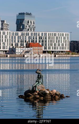 Copenhague, Danemark. 13 août 2022. Sculpture de petite sirène génétiquement modifiée avec des bâtiments de la ville de l'ONU en arrière-plan. Banque D'Images