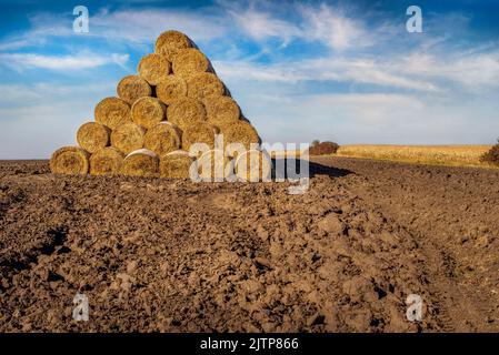 pile de balles de paille en forme de pyramide, empilées dans un champ labouré Banque D'Images