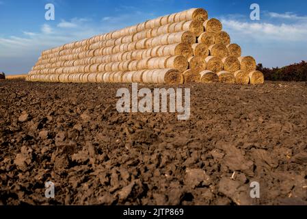 balles de paille empilées dans une pile en forme de pyramide sur un champ labouré, terre arable Banque D'Images