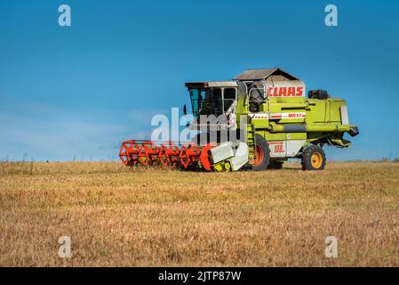 RÉGION DE TERNOPIL, UKRAINE - 23 octobre 2021 - l'ancienne moissonneuse-batteuse CLAAS Dominator 108 SL MAXI fonctionne dans le champ de soja Banque D'Images