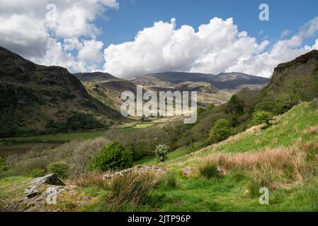 Nantgwynant, parc national de Snowdonia, pays de Galles du Nord. Banque D'Images