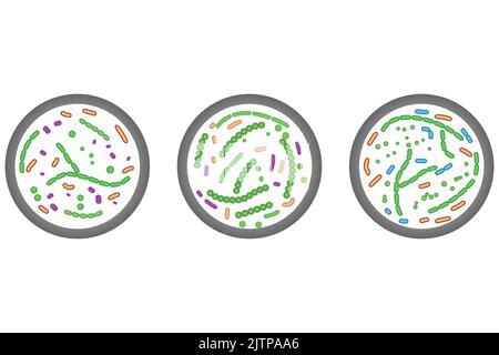 Ensemble de 3 icônes de boîtes de Petri. Illustration simple colorée avec cellules bactériennes. Illustration de Vecteur