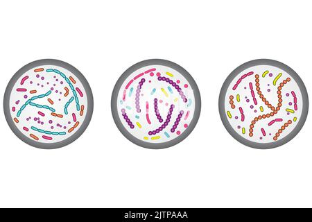 Ensemble de 3 icônes de boîtes de Petri. Illustration simple colorée avec cellules bactériennes. Illustration de Vecteur