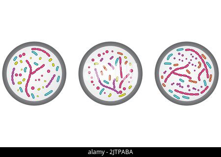 Ensemble de 3 icônes de boîtes de Petri. Illustration simple colorée avec cellules bactériennes. Illustration de Vecteur