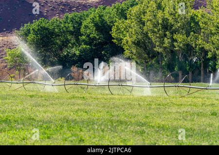 Irrigation de sideroll ou de ligne de roues dans un champ de foin sur un ranch près de Moab, Utah. Banque D'Images