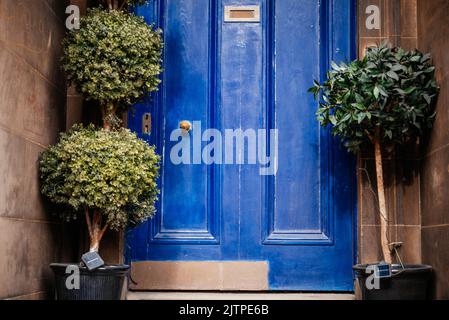 Porte d'entrée en bois bleu avec plantes en pot en Écosse, entrée décorée avec goût Banque D'Images