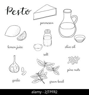 La sauce pesto présente les ingrédients isolés sur fond blanc. Parmesan, citron, sel, huile d'olive, ail, basilic, pignons de pin. Illustration vectorielle en cours Illustration de Vecteur