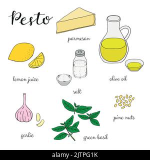 Ingrédients de sauce pesto isolés sur fond blanc. Parmesan, citron, sel, huile d'olive, ail, basilic, pignons de pin. Illustration vectorielle dessinée à la main Illustration de Vecteur