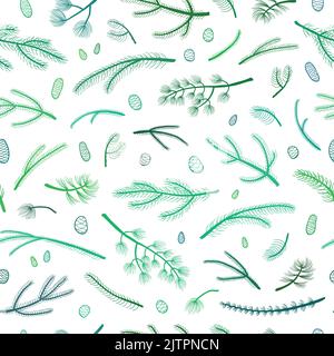 Motif sans couture avec branches et cônes de sapin de conifères vert dessinés à la main, de pin, de cèdre. Illustration de Vecteur