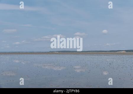 Mer des Wadden région de l'UNESCO sur l'île Langli, près d'Esbjerg Danemark Banque D'Images