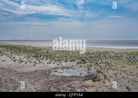 Mer des Wadden région de l'UNESCO sur l'île Langli, près d'Esbjerg Danemark Banque D'Images