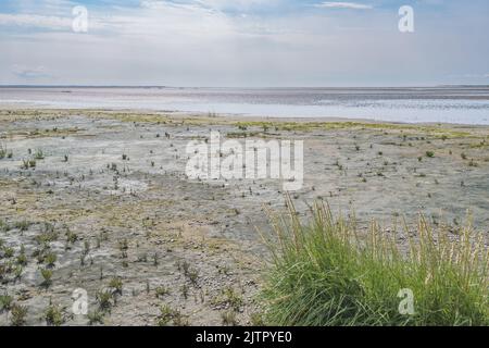 Mer des Wadden région de l'UNESCO sur l'île Langli, près d'Esbjerg Danemark Banque D'Images