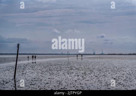 Promenade dans la mer des wadden région de l'UNESCO à l'île Langli, près d'Esbjerg Danemark Banque D'Images