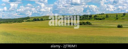 Vue panoramique sur les vastes champs de colza pendant la période de maturation Banque D'Images