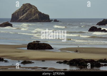 Les plages sont toutes publiques dans l'Oregon, y compris Badon Beach qui est célèbre pour ses paysages et ses formations rocheuses Banque D'Images