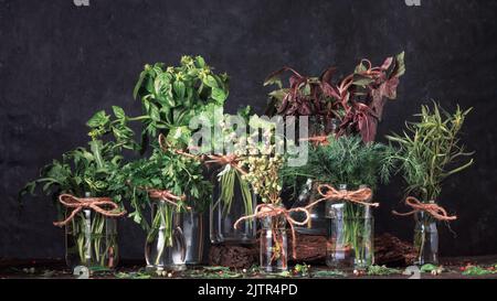 Des petits pains d'herbes fraîches comestibles assorties dans des pots sur la table de cuisine. Concept de nourriture biologique saine. Banque D'Images