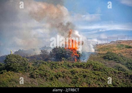 De la fumée s'échappe dans le ciel lorsqu'un incendie majeur a éclaté dans la vieille discothèque de Cendrillon à Mumbles Pier près de Swansea cet après-midi, ce qui a également mis les falaises à proximité. Banque D'Images