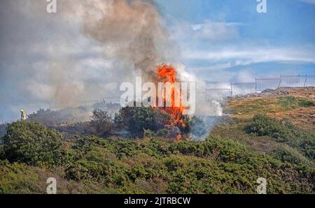 De la fumée s'échappe dans le ciel lorsqu'un incendie majeur a éclaté dans la vieille discothèque de Cendrillon à Mumbles Pier près de Swansea cet après-midi, ce qui a également mis les falaises à proximité. Banque D'Images