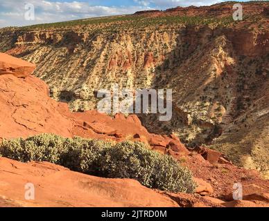 Les cols de cygne surplombent le canyon profond de Sulphur Creek, le parc national de Capitol Reef, le comté de Wayne, Utah Banque D'Images