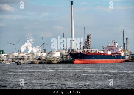 Petroleumhaven, Vopak terminal Europoort, exploitation de réservoirs de pétrole brut, plus de 99 grands réservoirs et 22 terminaux de chargement pour les navires étrangers et intérieurs, EuroPoor Banque D'Images