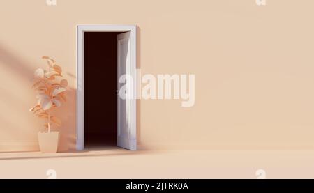 Ouvrez la porte blanche d'une pièce sombre. Pot avec fleurs. Arrière-plan abstrait à l'intérieur. 3d rendu Banque D'Images