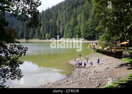 RÉGION DE ZAKARPATTIA, UKRAINE - le 29 AOÛT 2022 - le niveau d'eau du lac Synevyr, le plus grand lac de montagne d'Ukraine, est tombé à un niveau record de Banque D'Images